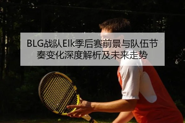 BLG战队Elk季后赛前景与队伍节奏变化深度解析及未来走势